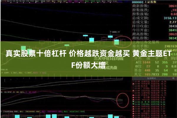 真实股票十倍杠杆 价格越跌资金越买 黄金主题ETF份额大增