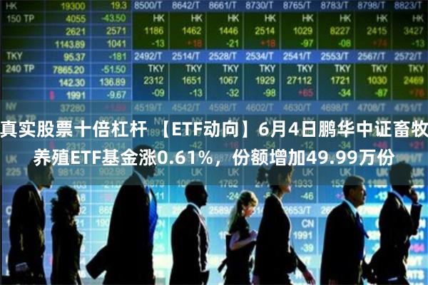 真实股票十倍杠杆 【ETF动向】6月4日鹏华中证畜牧养殖ETF基金涨0.61%，份额增加49.99万份