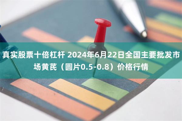 真实股票十倍杠杆 2024年6月22日全国主要批发市场黄芪（圆片0.5-0.8）价格行情