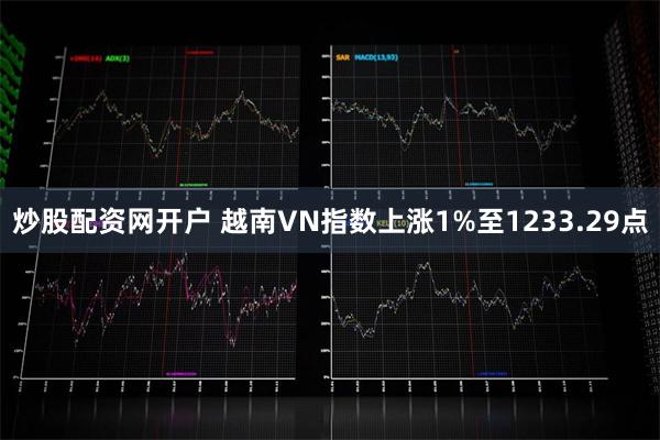 炒股配资网开户 越南VN指数上涨1%至1233.29点